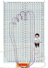C[W